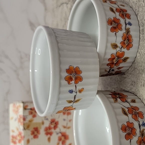 Vintage Saltera Winter Dogwood Japanese Ramekin set new in box - Picture 4 of 9
